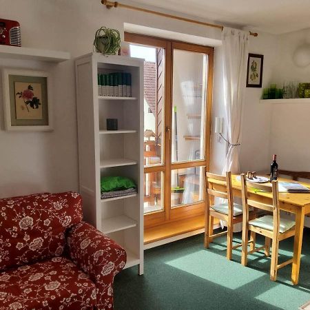 Apartman 6 U Sjezdovek ロキトニツェ・ナト・イゼロウ エクステリア 写真