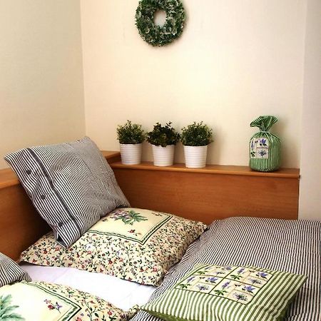 Apartman 6 U Sjezdovek ロキトニツェ・ナト・イゼロウ エクステリア 写真
