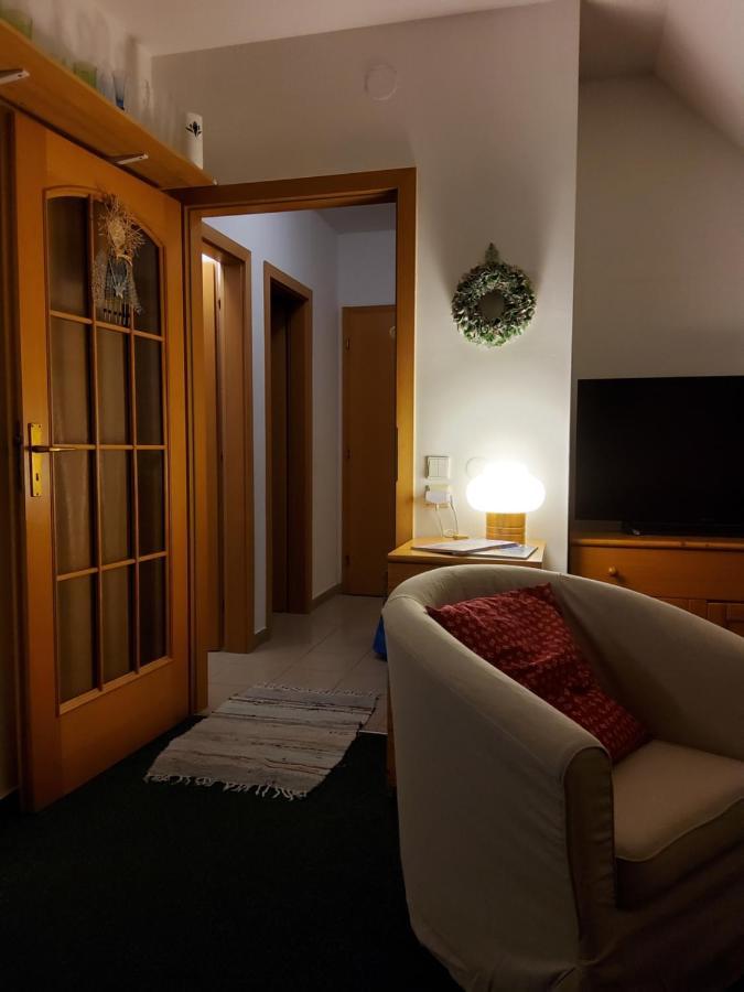 Apartman 6 U Sjezdovek ロキトニツェ・ナト・イゼロウ エクステリア 写真