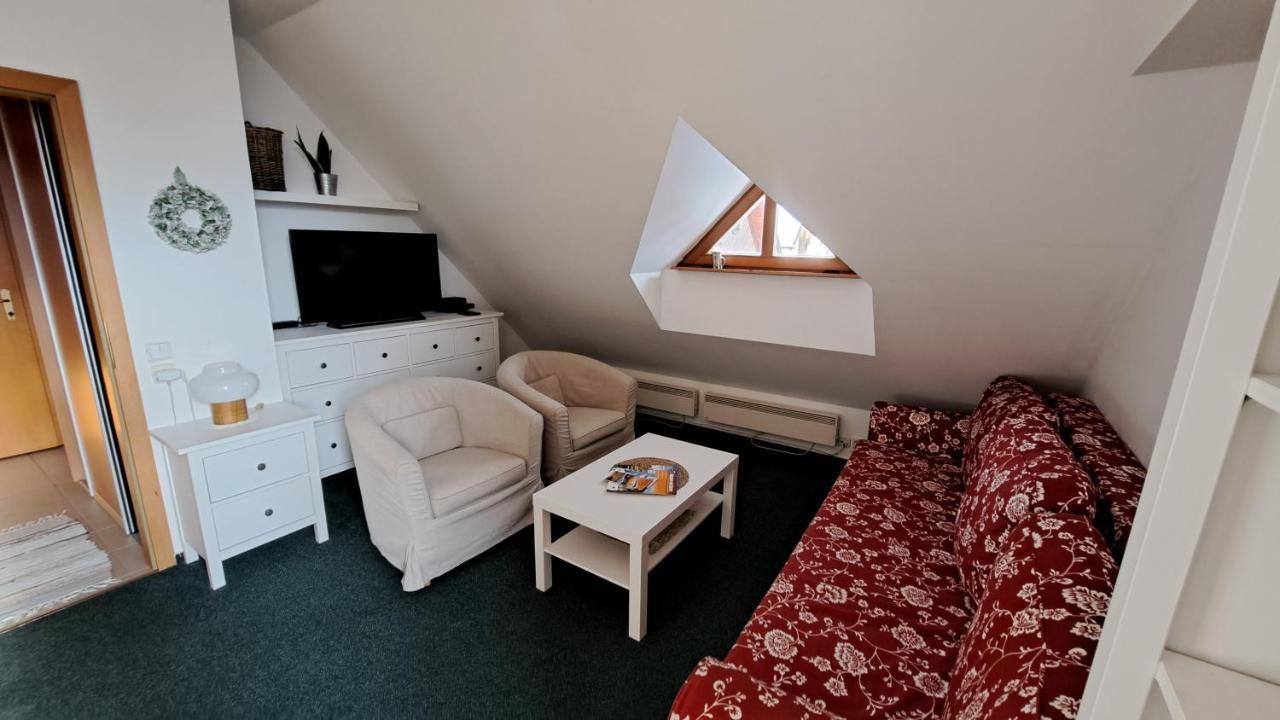 Apartman 6 U Sjezdovek ロキトニツェ・ナト・イゼロウ エクステリア 写真