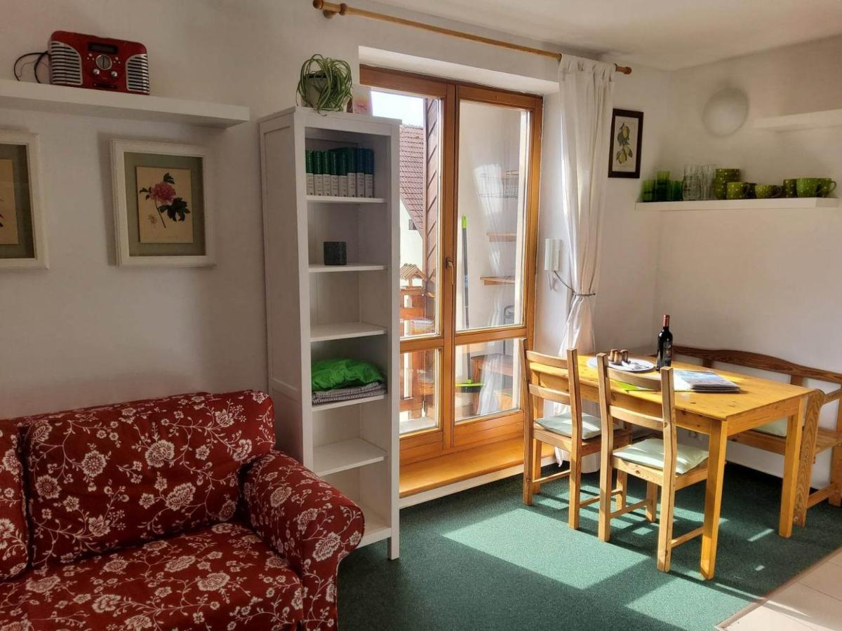 Apartman 6 U Sjezdovek ロキトニツェ・ナト・イゼロウ エクステリア 写真